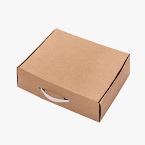 Packaging premium con ventana y asa (anónimo o personalizado)